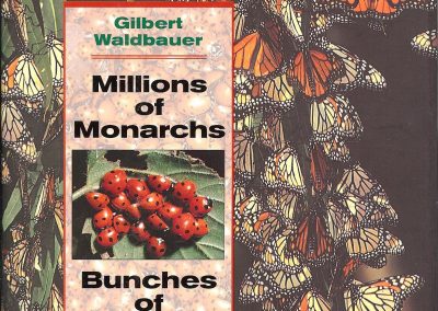 millions of monarchs cover 001